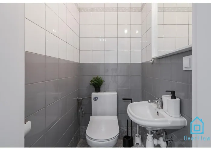 ホームステイ Stary Earth